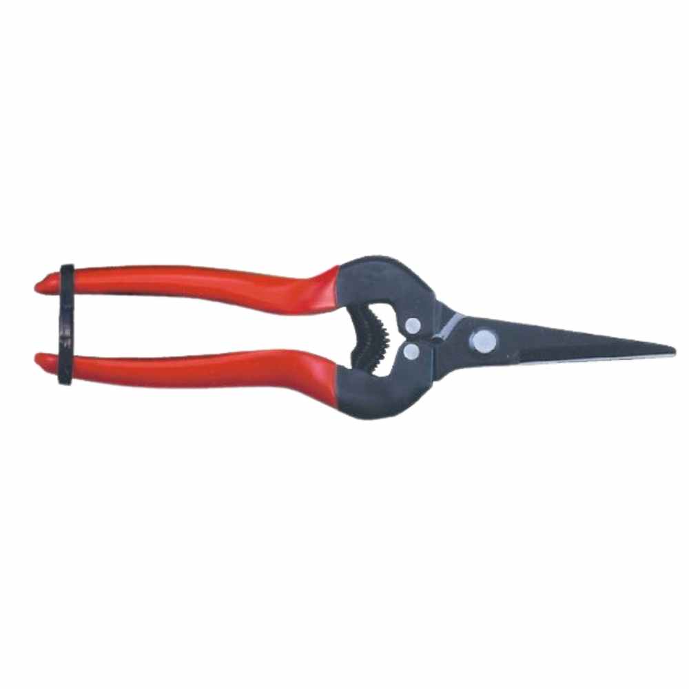 SECATEUR FLEURISTE ARS 300 L